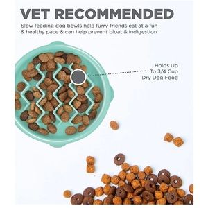 NWT Fun Feeder Slo Bowl